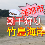 蒲郡市の潮干狩り2017・竹島海岸おすすめ!