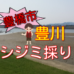 豊橋市の無料シジミ採りスポット!豊川の(船町側)河川敷