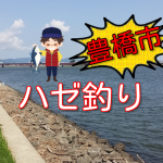 豊橋市の魚釣りポイント場所情報!初心者でもハゼ釣りなら簡単!豊川でうなぎ狙いも