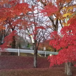 岐阜県の穴場的な紅葉スポット!ライトアップもあり!奥矢作湖・串原郷土館