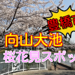 豊橋市の桜花見スポット!2018向山大池の見頃と開花状況!