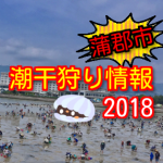 蒲郡市潮干狩り情報2018!三谷・水神・竹島・形原・西浦・松島