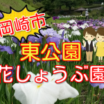 岡崎市東公園の花菖蒲まつり2018!開花状況や見頃などを紹介!ライトアップもあるよ!